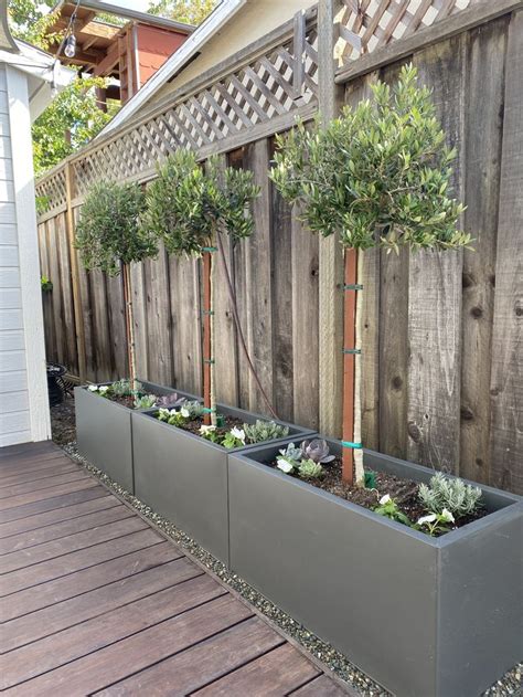 Large modern planters | Small courtyard gardens, Outdoor garden rooms ...