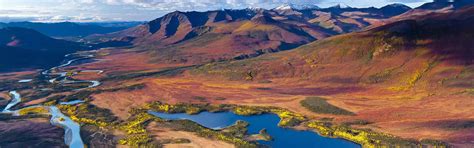 alaska arctic circle tours  alaska vacations