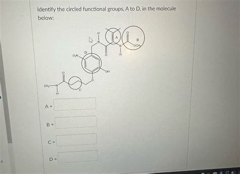 Answered Identify The Circled Functional Groups … Bartleby