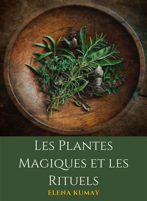 Les Plantes Magiques Et Les Rituels Eletika Acad Mie