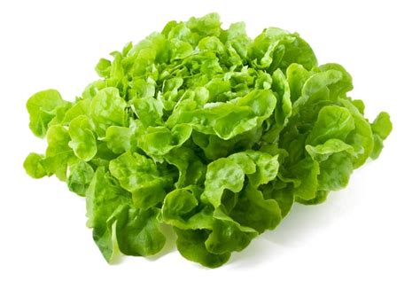 7 Types Of Lettuce For Every Type Of Salads Revealed