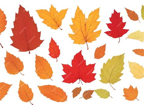 Premium Ai Image Autumn Leaves Set Isolated On White Background