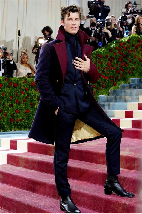 Shawn Mendes Draws Comparisons to Disney Princes at 2022 Met Gala