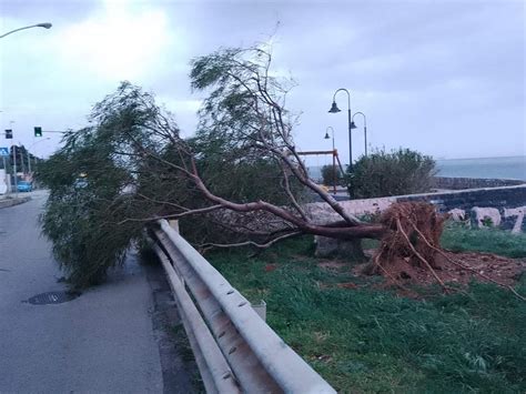 Palermo Sferzata Dal Maltempo Adesso Conta I Danni FOTOGALLERY Live