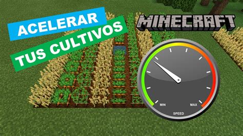 C Mo Acelerar El Crecimiento De Cultivos En Minecraft Youtube