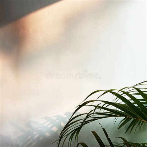 Minimalist Nature Background Stock Image - Image of lighting ...