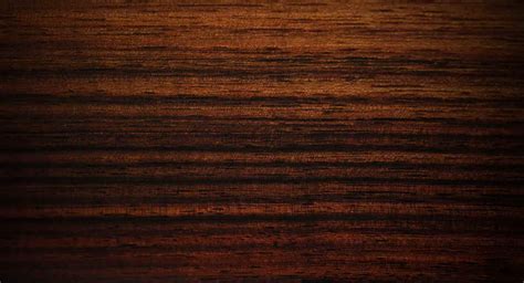 Acoustic Guitar Wood A Brief Guide To Different Tonewoods