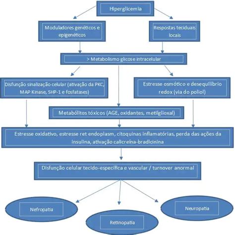 Complica Es Microvasculares Do Diabetes Da Fisiopatologia Aplica O