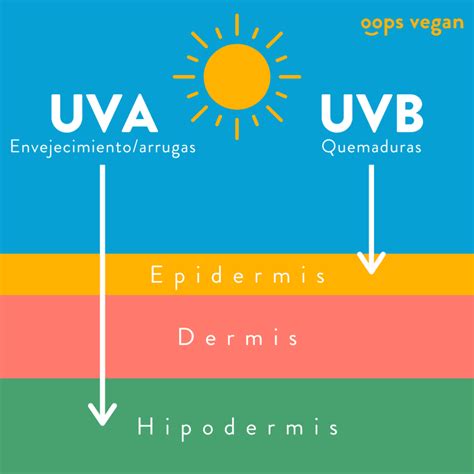 La Gu A Definitiva Para Elegir Un Protector Solar Vegano Y