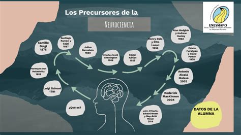 Linea De Tiempo Historia De La Neurociencia Youtube Images