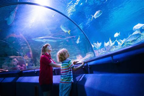 Why Zoos And Aquariums Need Event And Venue Management Software