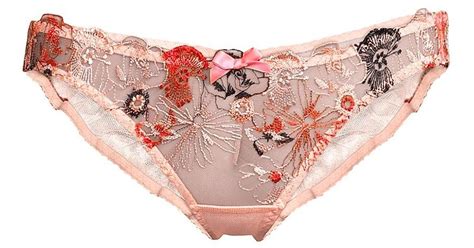 Agent Provocateur Zuri Embroidered Tulle Brief In Pink Lyst