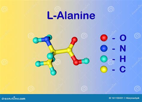 Alanine Ala Amino Acid Cartoon Vector | CartoonDealer.com #156578517