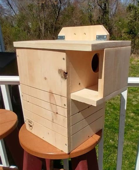 Fox Squirrel Nest Box Build It Yourself Squirrel House Kit Artofit