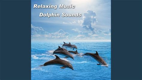 Relaxing Music Dolphin Sounds - YouTube Music