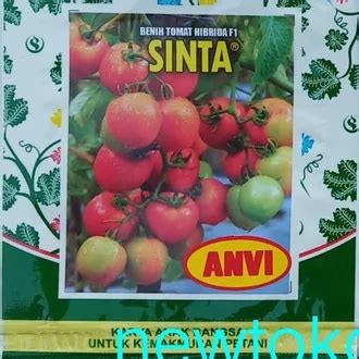 Jual Produk Tomat Hibrida Sinta Benih Tomat Termurah Dan Terlengkap