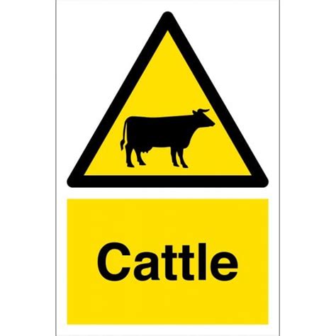 Cattle Safety Signs From Key Signs Uk