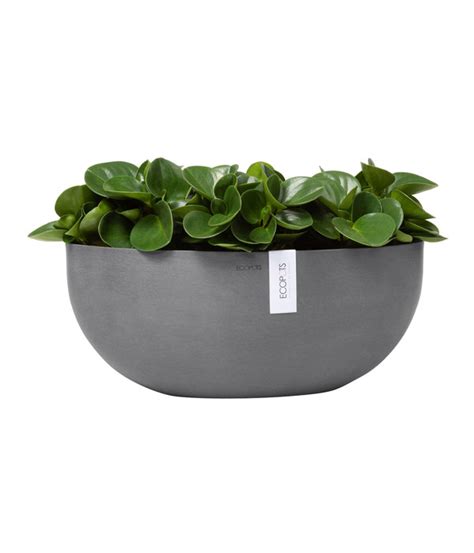 Ecopots Kunststoff Schale Sofia Mit Wassersystem Oval Grau Ca B