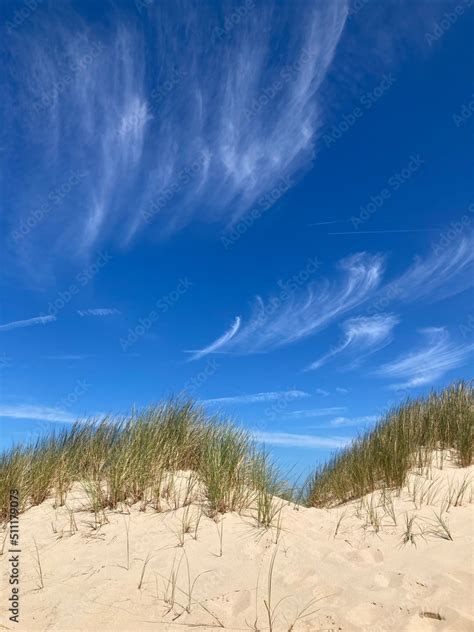 Sommerliche Dünenlandschaft an der Nordseeküste mit Sand und