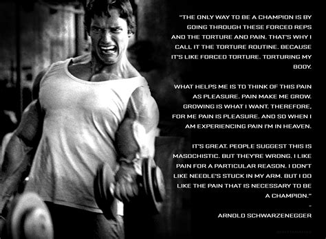 Arnold Gym Pain Quotes. QuotesGram