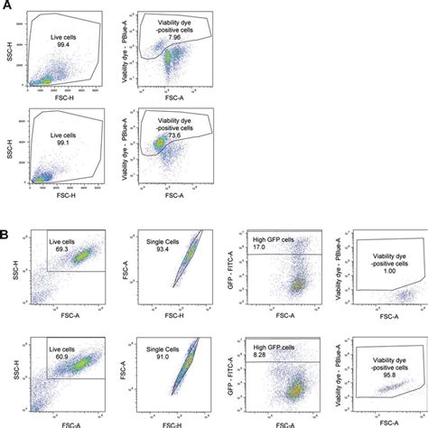 Flow Cytometry Gating Part 2 A Flow Cytometry Gating Scheme Utilized