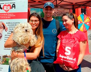 Jornada De Adopciones