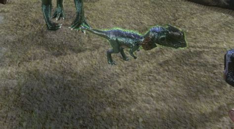 Ark Dilophosaur How To Tame Feed And Breed