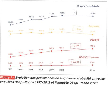 Quoi De Neuf Au Sujet De Lépidémiologie De Lobésité En France