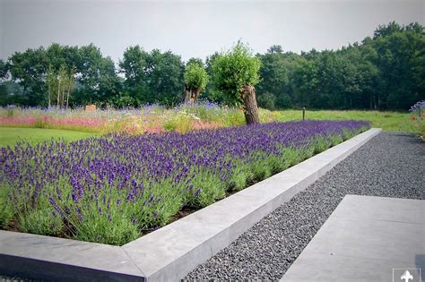 Strakke Tuin Met Borders