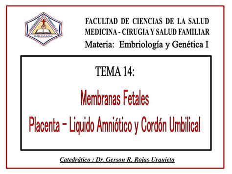 Membranas Fetales Placenta Medicina Apuntes Udocz