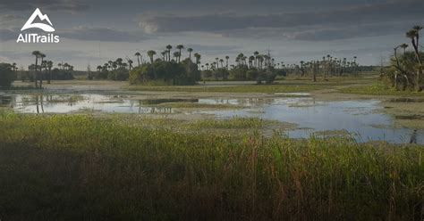 Best Trails in Orlando Wetlands Park - Florida | AllTrails