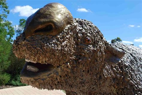 10 Facts About Diprotodon The Giant Wombat