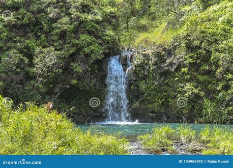 Water Pool with Waterfall on Road To Hana, Maui Stock Photo - Image of ...