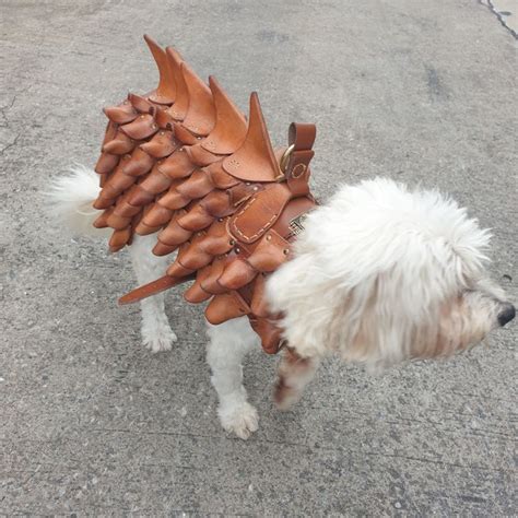 Vegtan Dog Armour