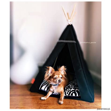 Legowisko Tipi Glamour Zebra Pakamera Pl