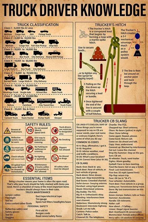 Truck Driver Guide Infographic