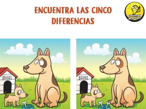 Encuentra Las Cinco Diferencias Acertijos Con Respuesta