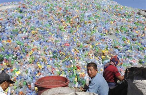 El Humano Produjo 8300 Millones De Toneladas De Plástico De 1950 A 2015