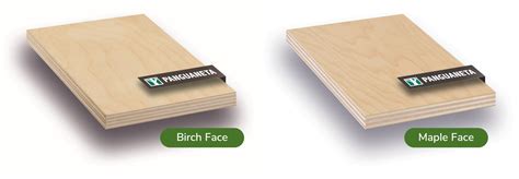 Product Feature Panguaneta Birch Faced Poplar Plywood DHH Panel Products