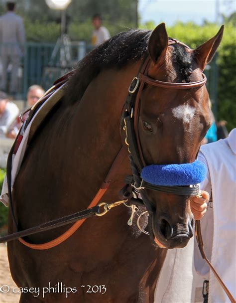 Past the Grandstand: Paynter: A Miraculous Comeback