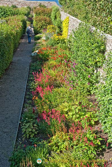 Castle of Mey Gardens supply fruit and flowers to the castle kitchen