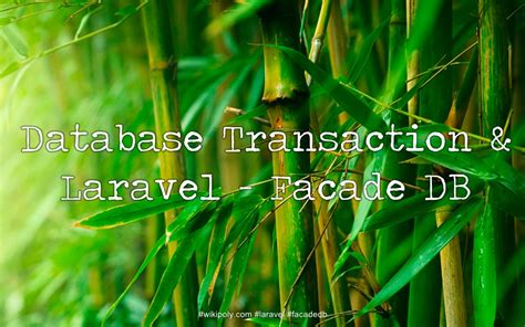 Sử dụng Database Transaction trong Laravel với Facade DB WikiPoly