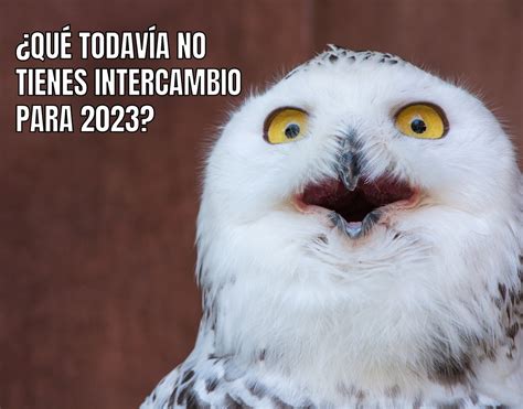 Homeexchange Es On Twitter Todav A Sin Intercambio Cerrado Para