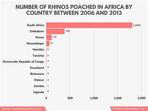 Poaching Statistics – Illegal Hunting & Trade In Numbers!