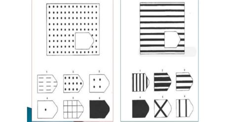 Test De Matrices Progresivas De Raven