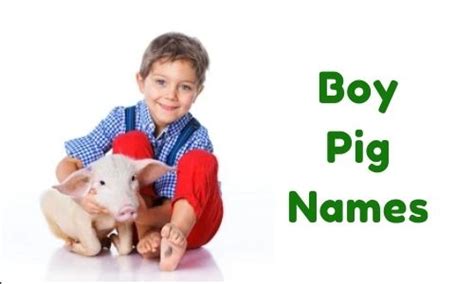 {1000+} » Boy Pig Names » [ Funny + Unique + Famous + Badass ]