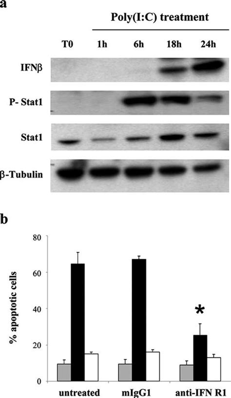 Tlr3 Can Directly Trigger Apoptosis In Human Cancer Cells1 The