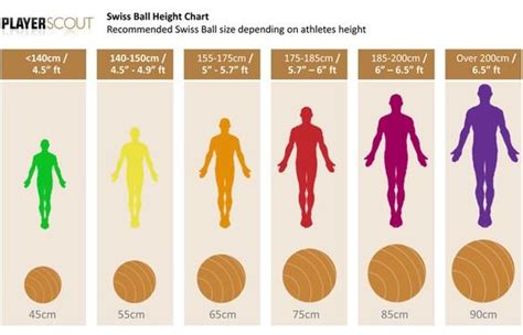 Favorite Stability Ball Exercises — Godowski Training