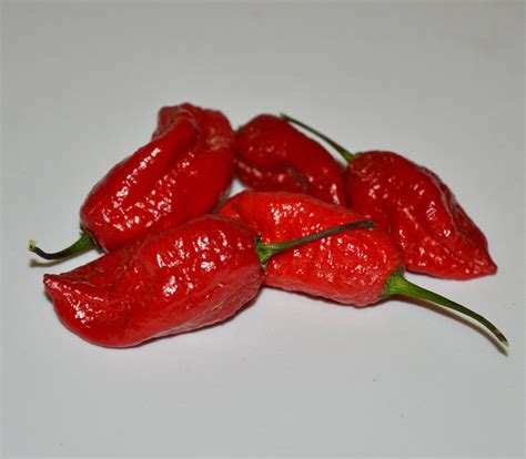 Naga Viper Pepper Seeds