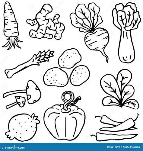 Doodle Vegetable Various Set Vector Illustration Stock Vector